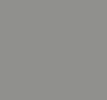 RAL 9007 RAL 9007